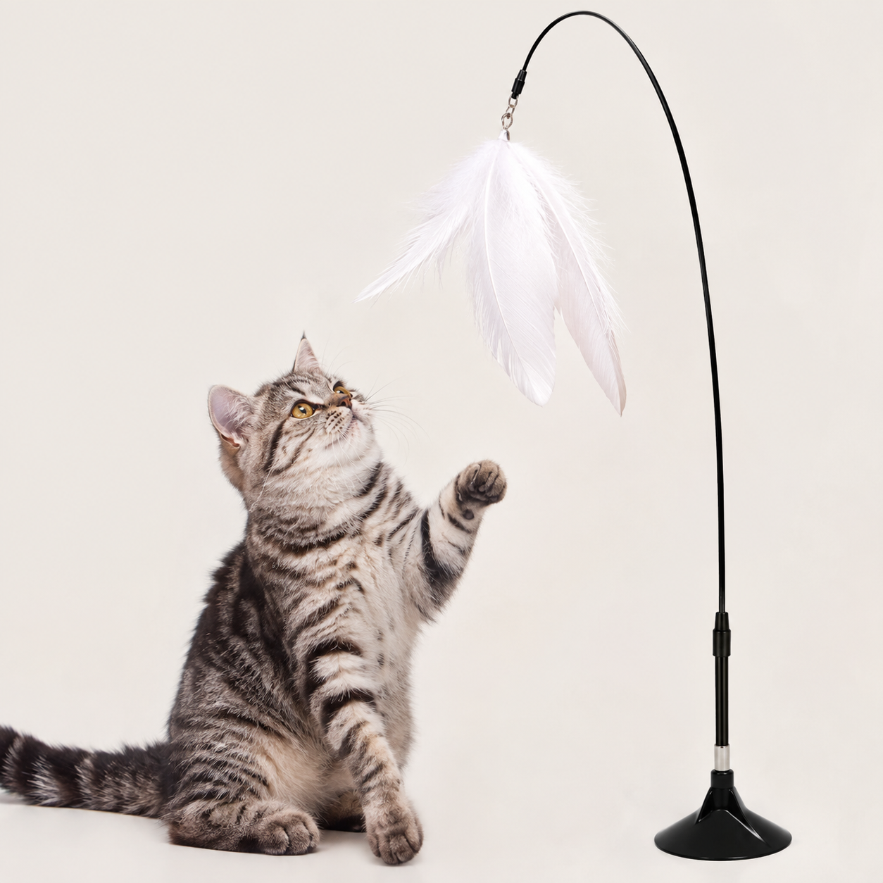 JUGUETE TEASER GATOS